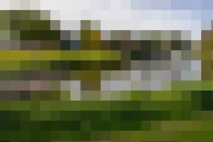 Hasselmanstraat 6 Nieuwendijk thumbnail 41