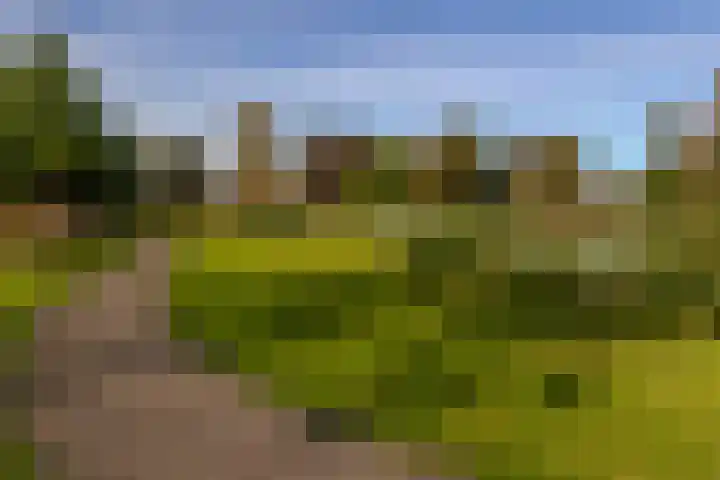 Hasselmanstraat 6 Nieuwendijk thumbnail 42