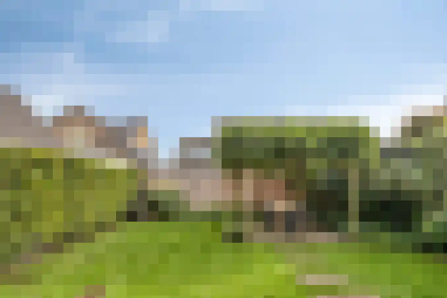 Hasselsestraat 20 Luyksgestel thumbnail 11