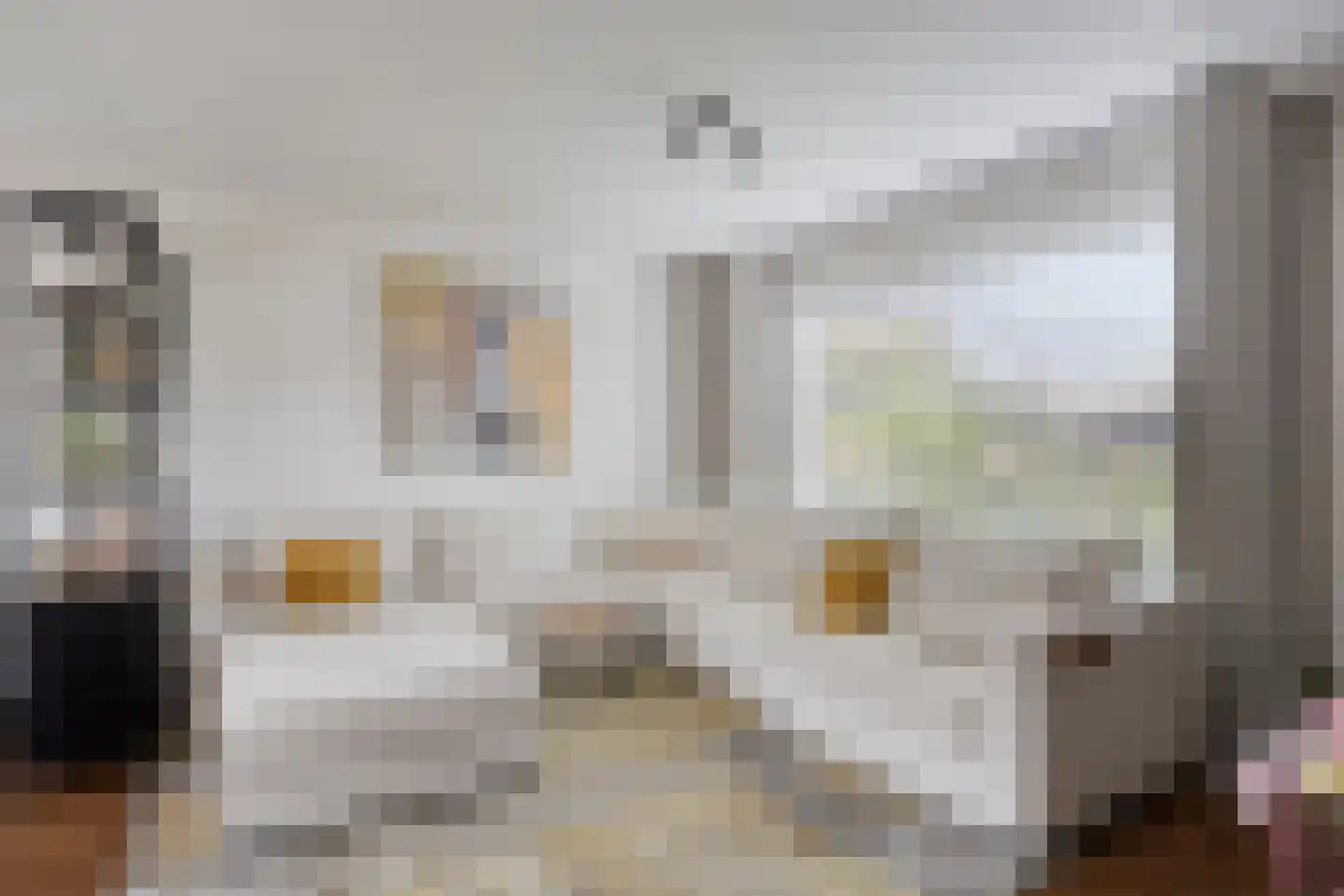 Hasselsestraat 20 Luyksgestel thumbnail 16