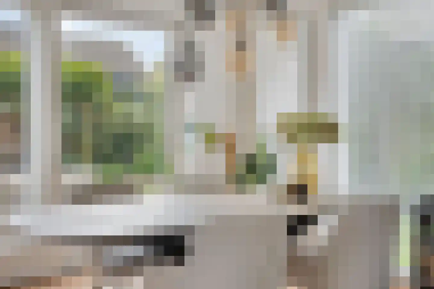Hasselsestraat 20 Luyksgestel thumbnail 18
