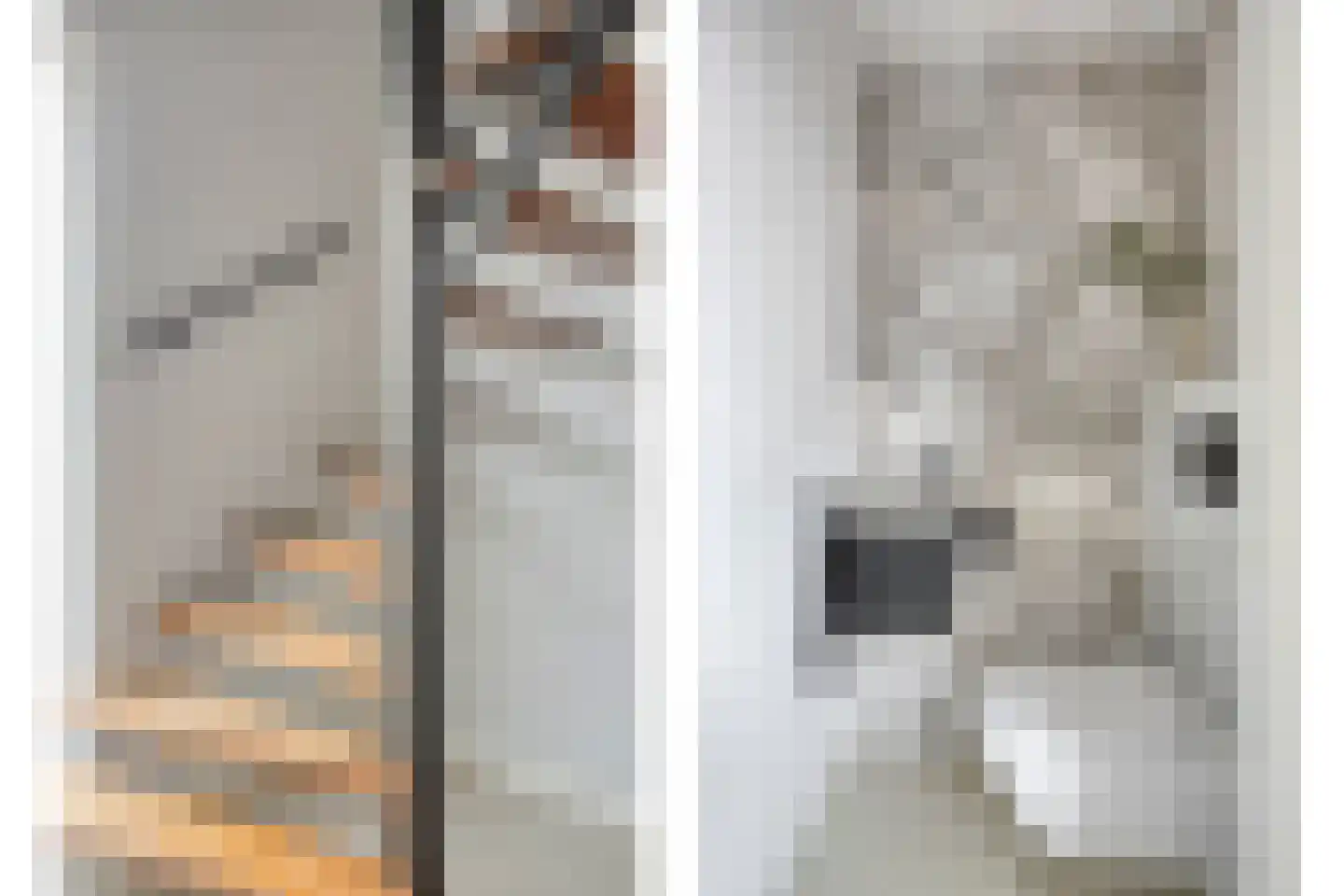 Hasselsestraat 20 Luyksgestel thumbnail 30
