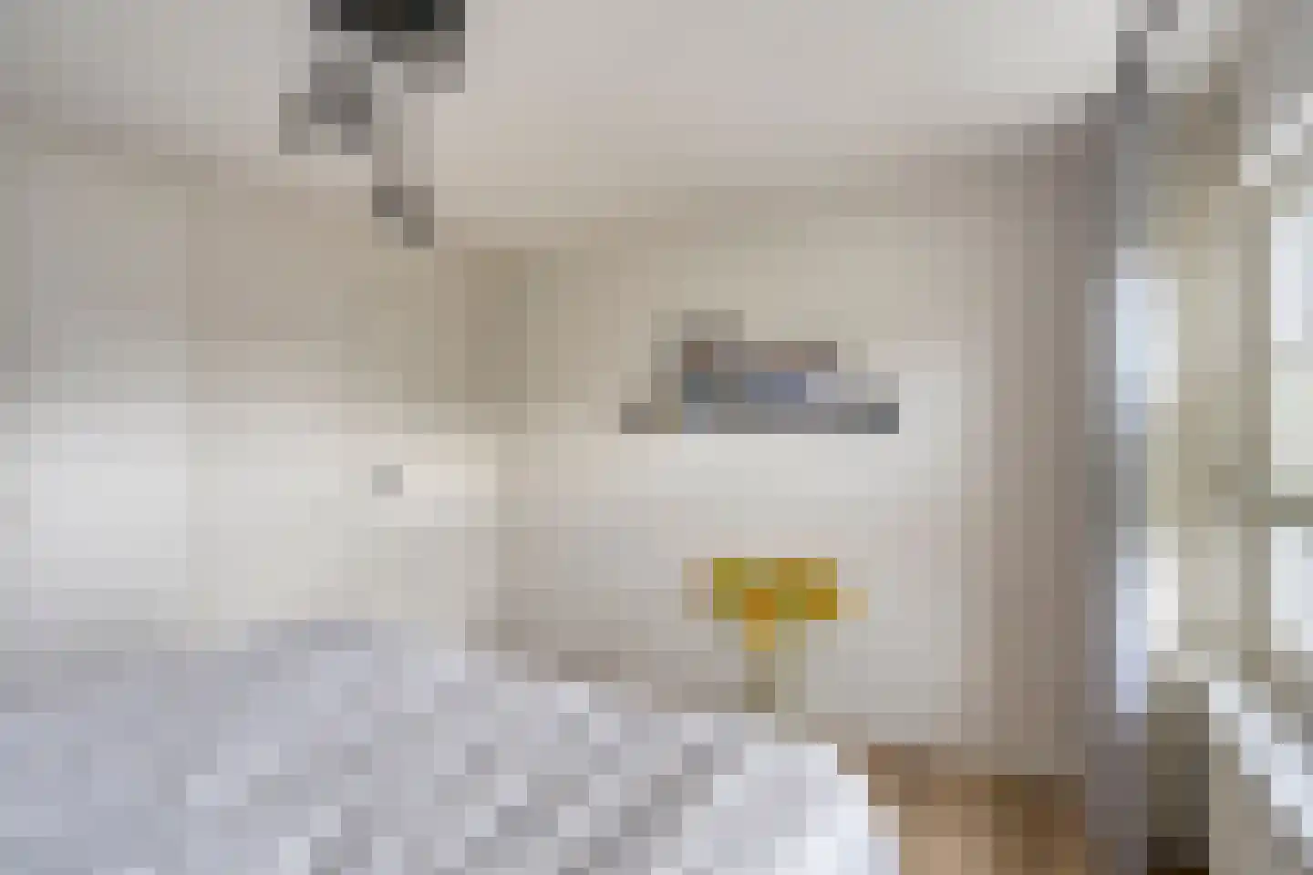 Hasselsestraat 20 Luyksgestel thumbnail 33