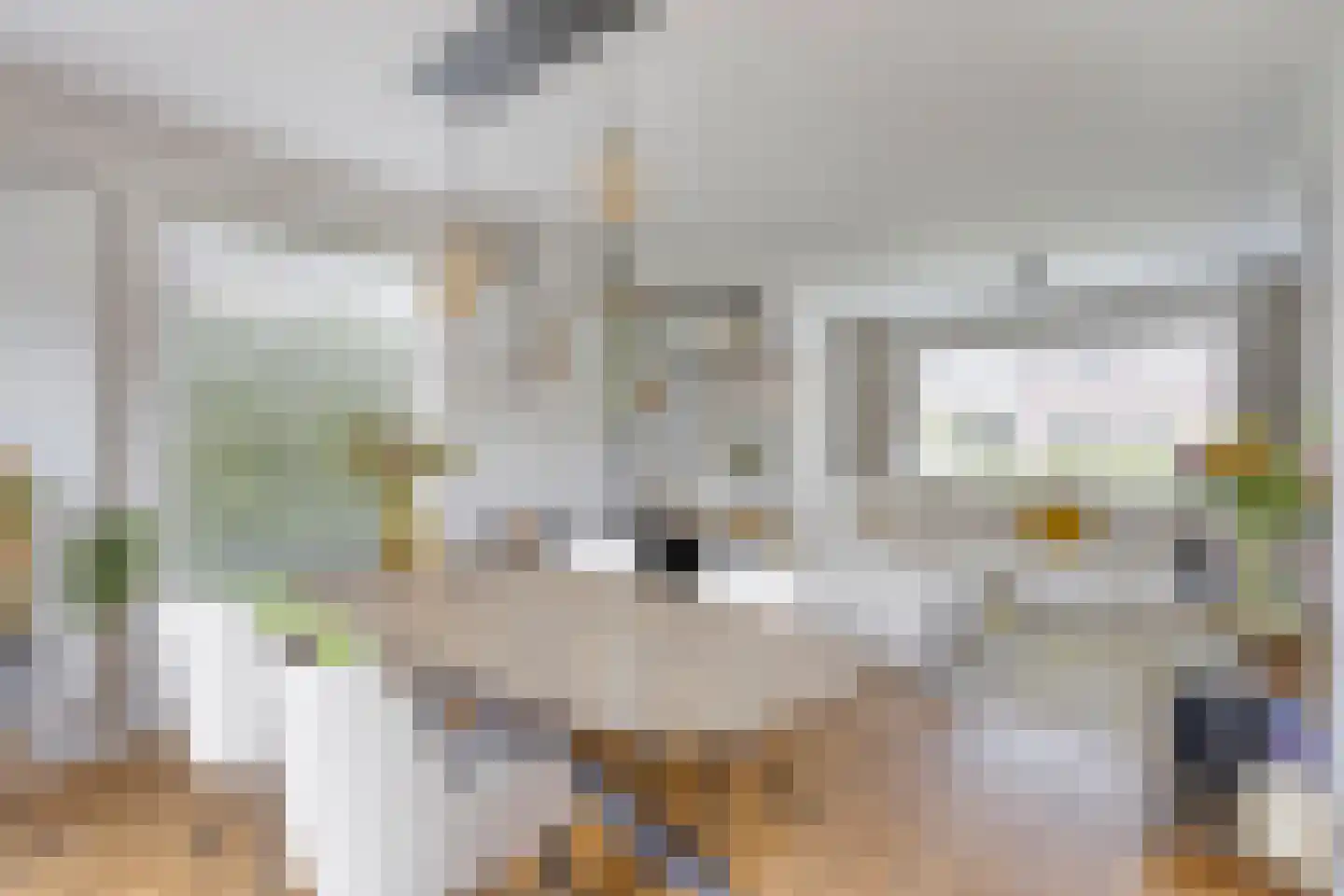 Hasselsestraat 20 Luyksgestel thumbnail 7