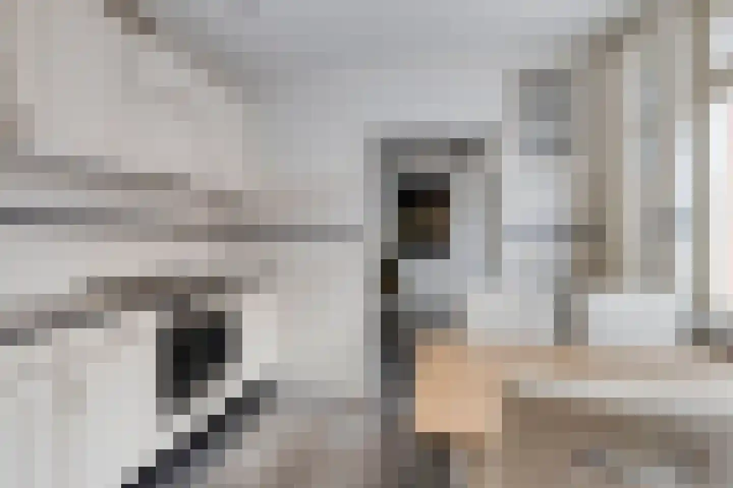Hasselsestraat 23 Luyksgestel thumbnail 13