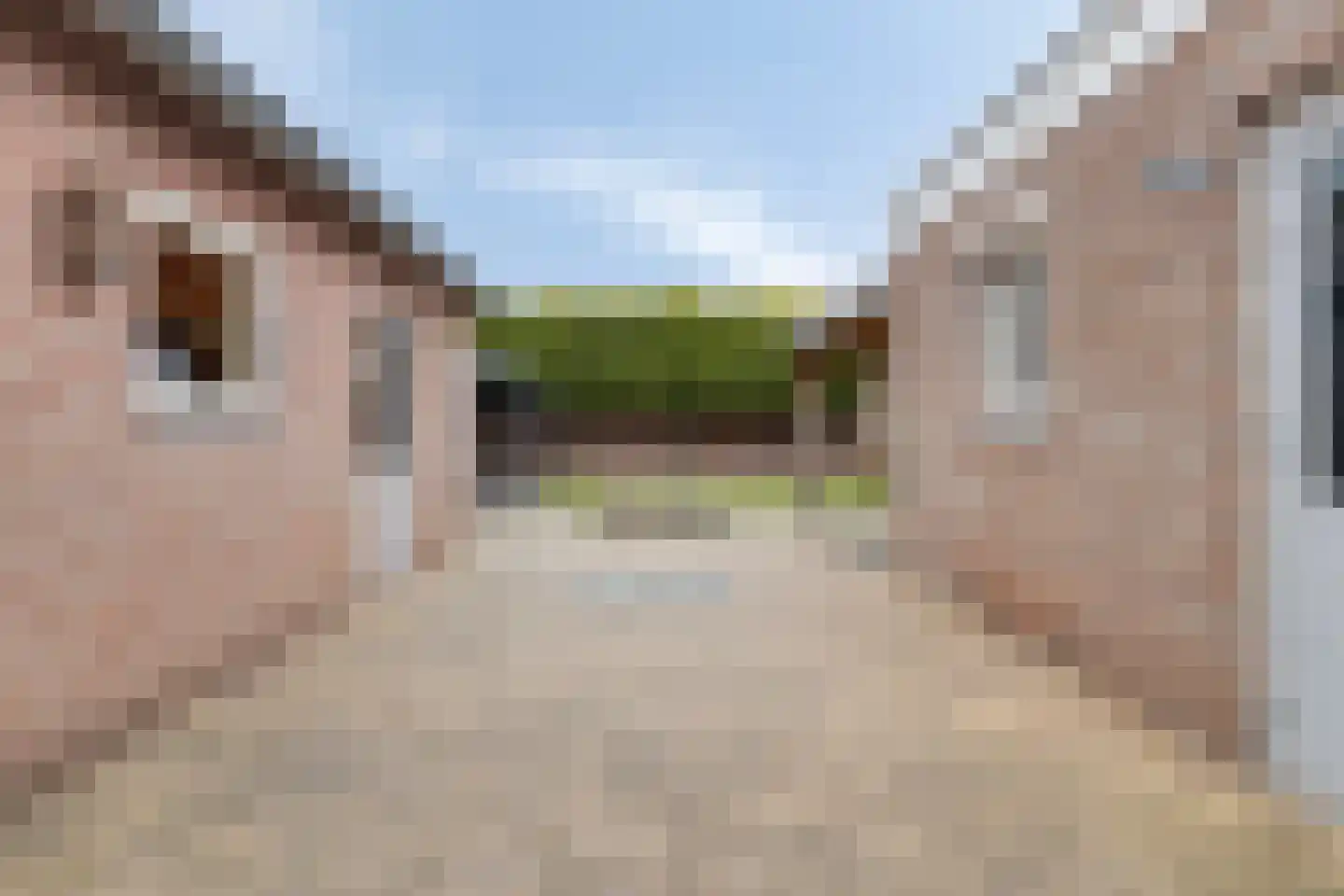 Hasselsestraat 23 Luyksgestel thumbnail 31
