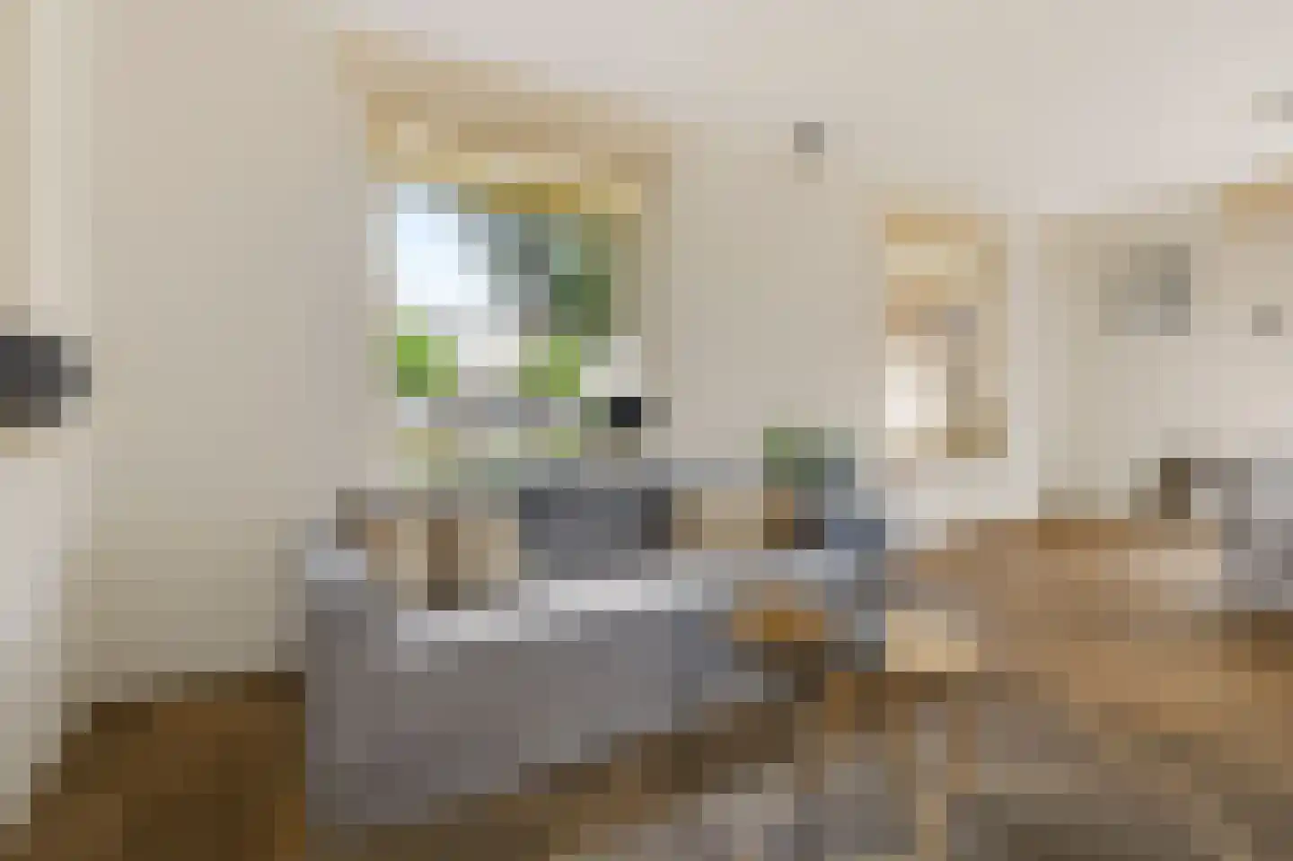 Hasselt 1 Eibergen thumbnail 10