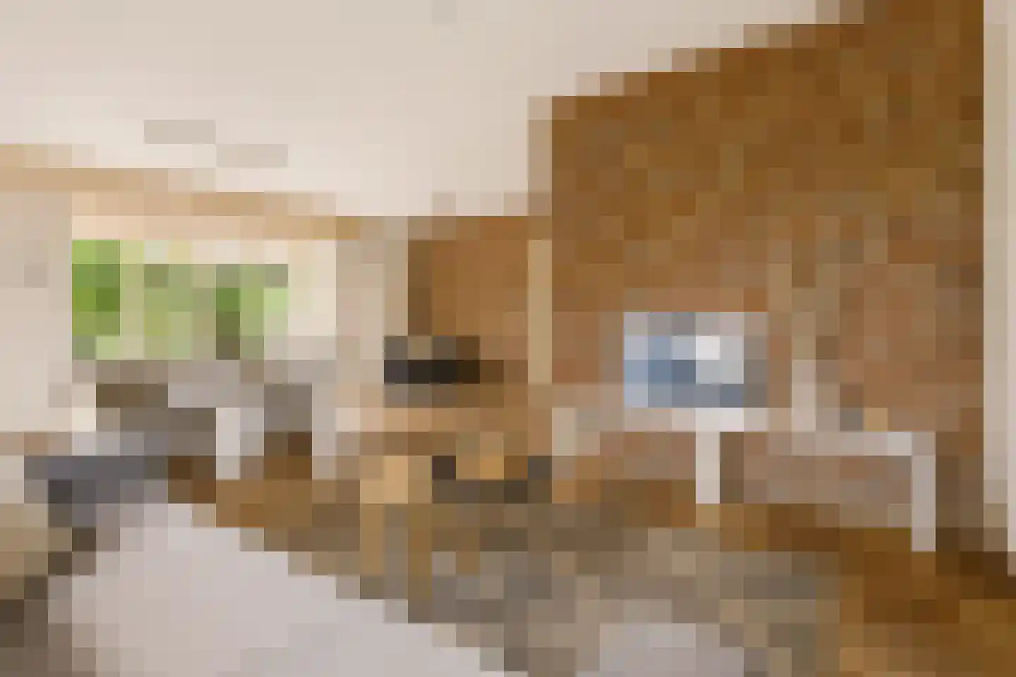 Hasselt 1 Eibergen thumbnail 12