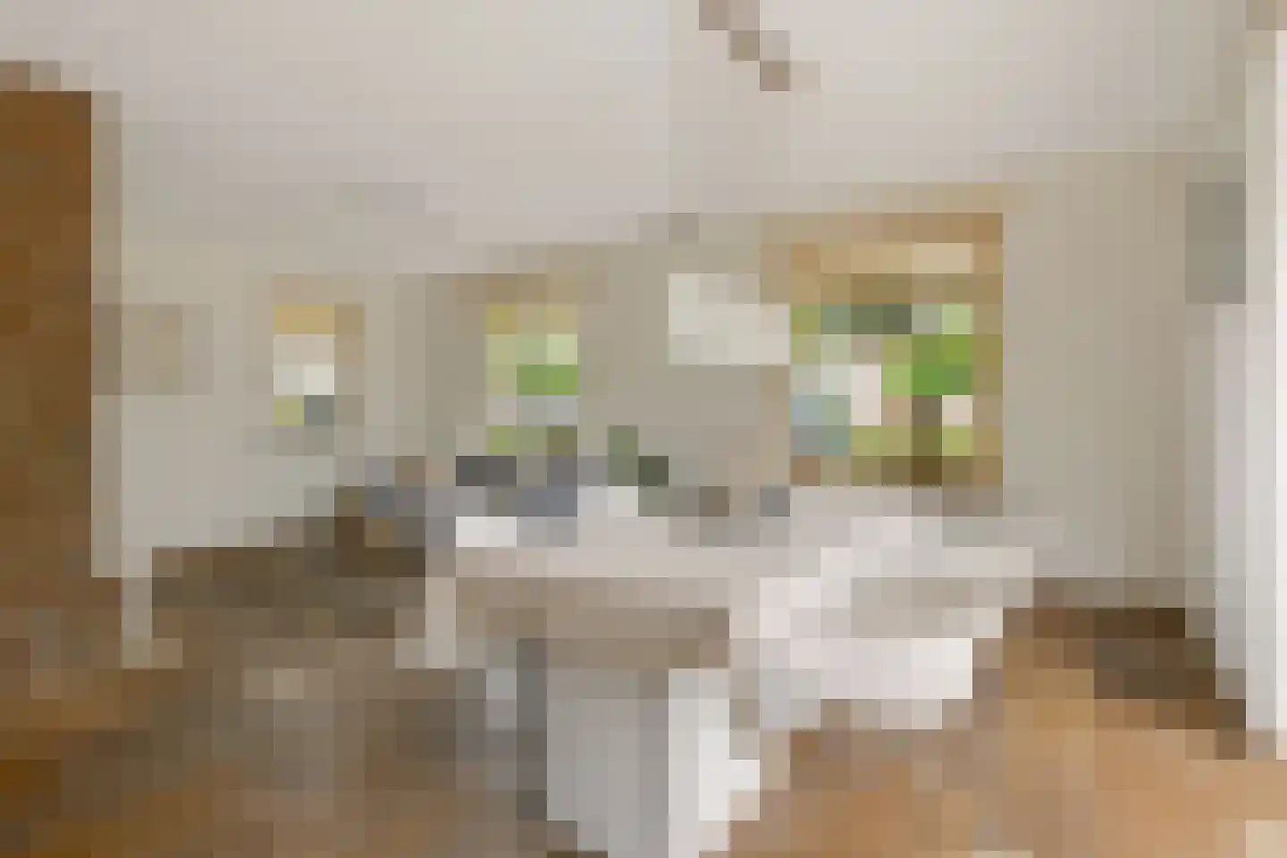 Hasselt 1 Eibergen thumbnail 14