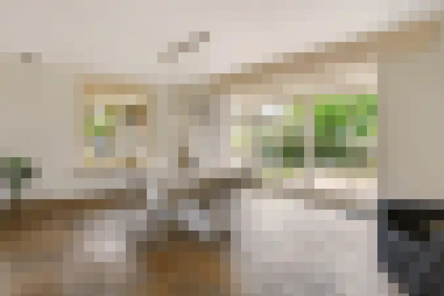Hasselt 1 Eibergen thumbnail 16