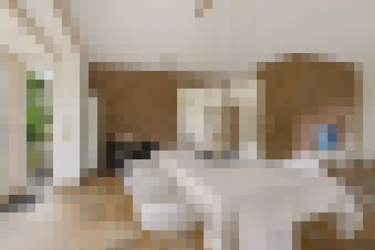 Hasselt 1 Eibergen thumbnail 18