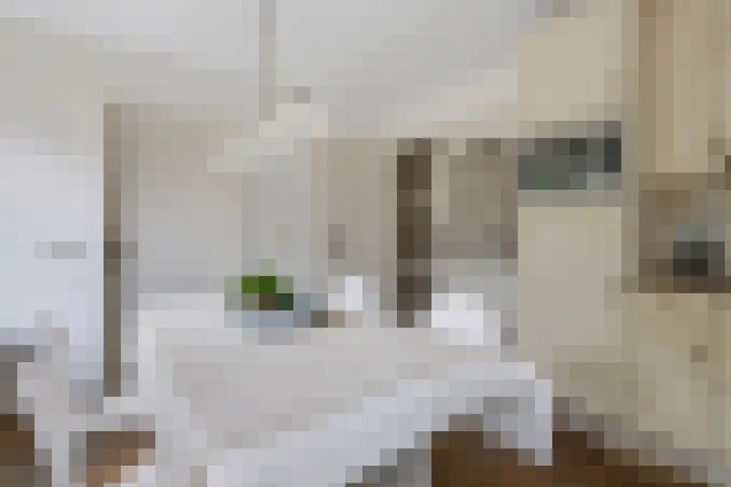 Hasselt 1 Eibergen thumbnail 19