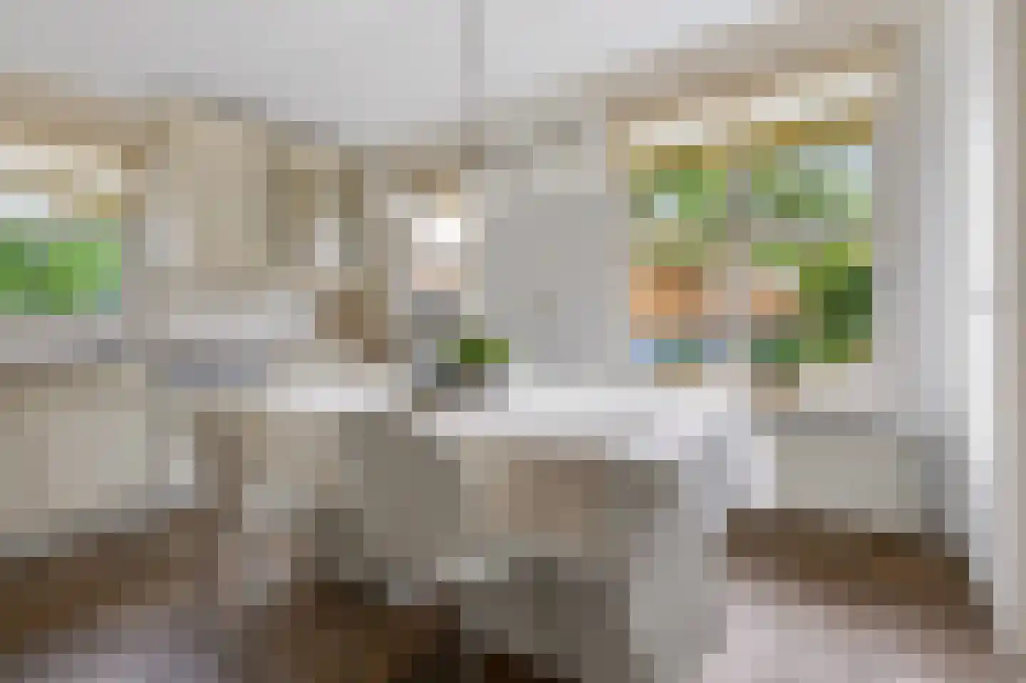 Hasselt 1 Eibergen thumbnail 21