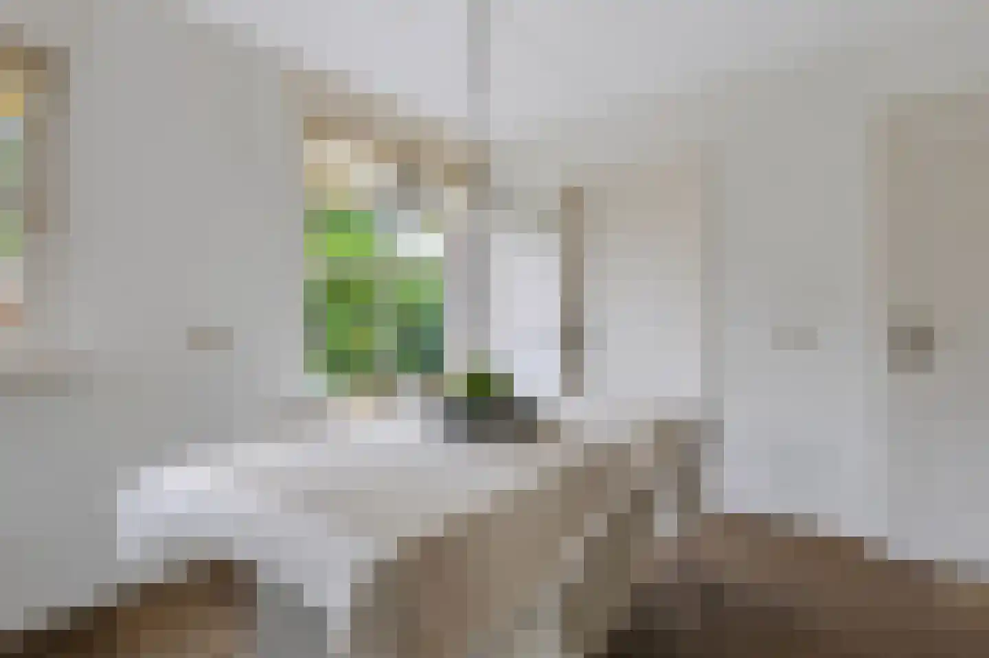 Hasselt 1 Eibergen thumbnail 24