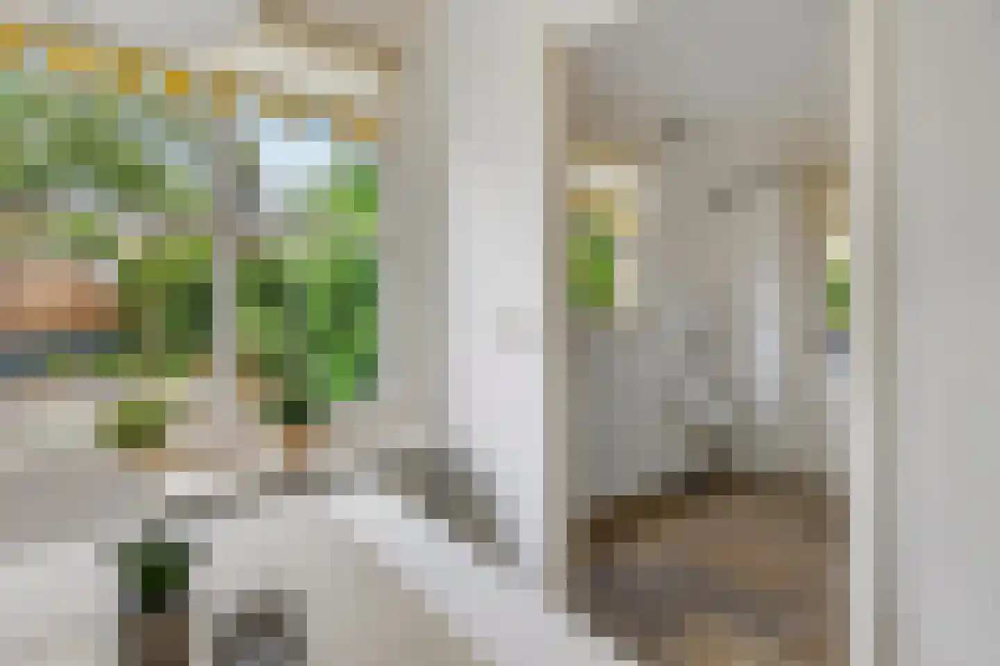 Hasselt 1 Eibergen thumbnail 25