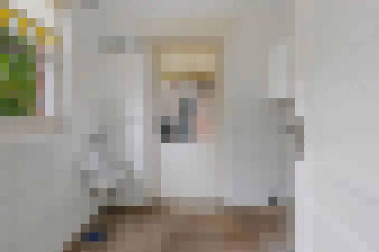Hasselt 1 Eibergen thumbnail 26