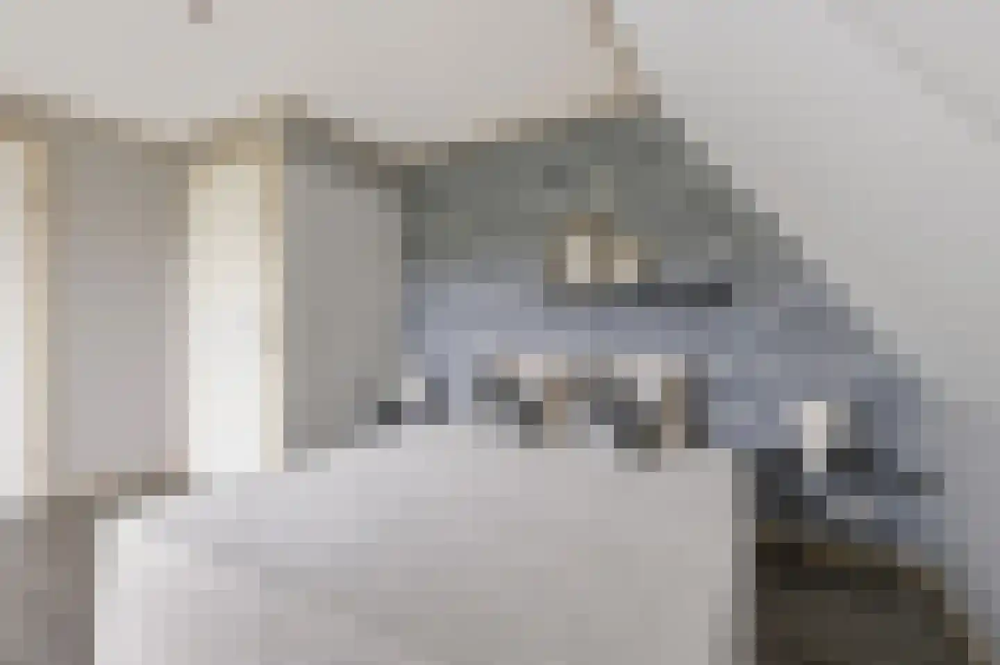 Hasselt 1 Eibergen thumbnail 30