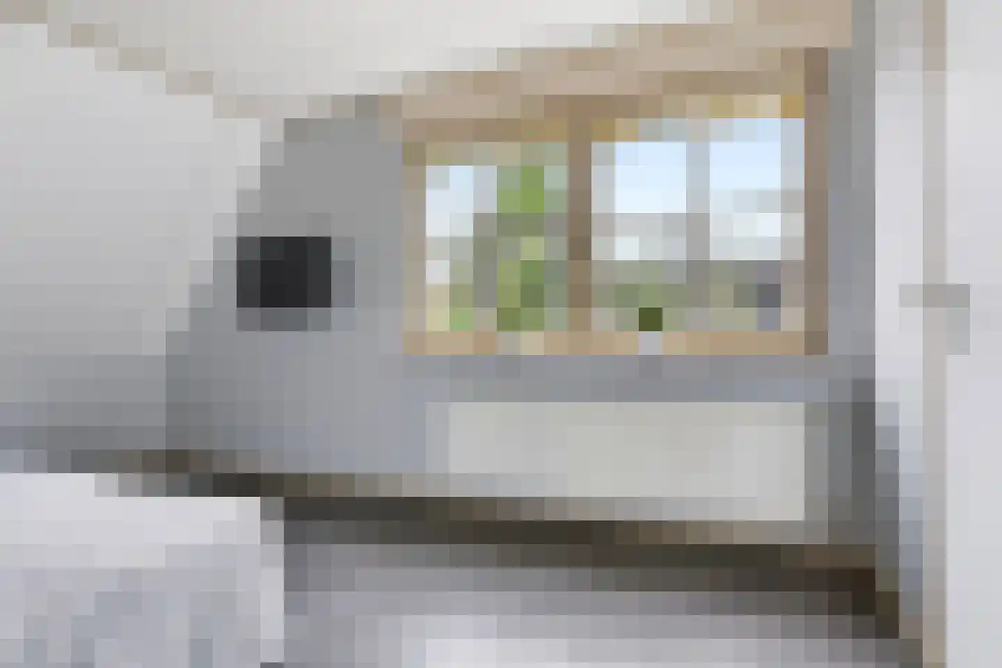 Hasselt 1 Eibergen thumbnail 31
