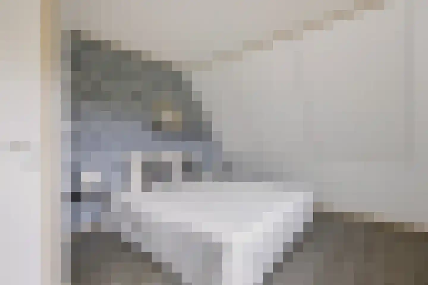 Hasselt 1 Eibergen thumbnail 32