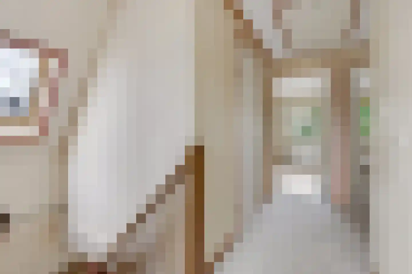 Hasselt 1 Eibergen thumbnail 34