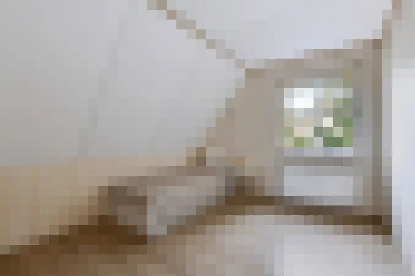 Hasselt 1 Eibergen thumbnail 36