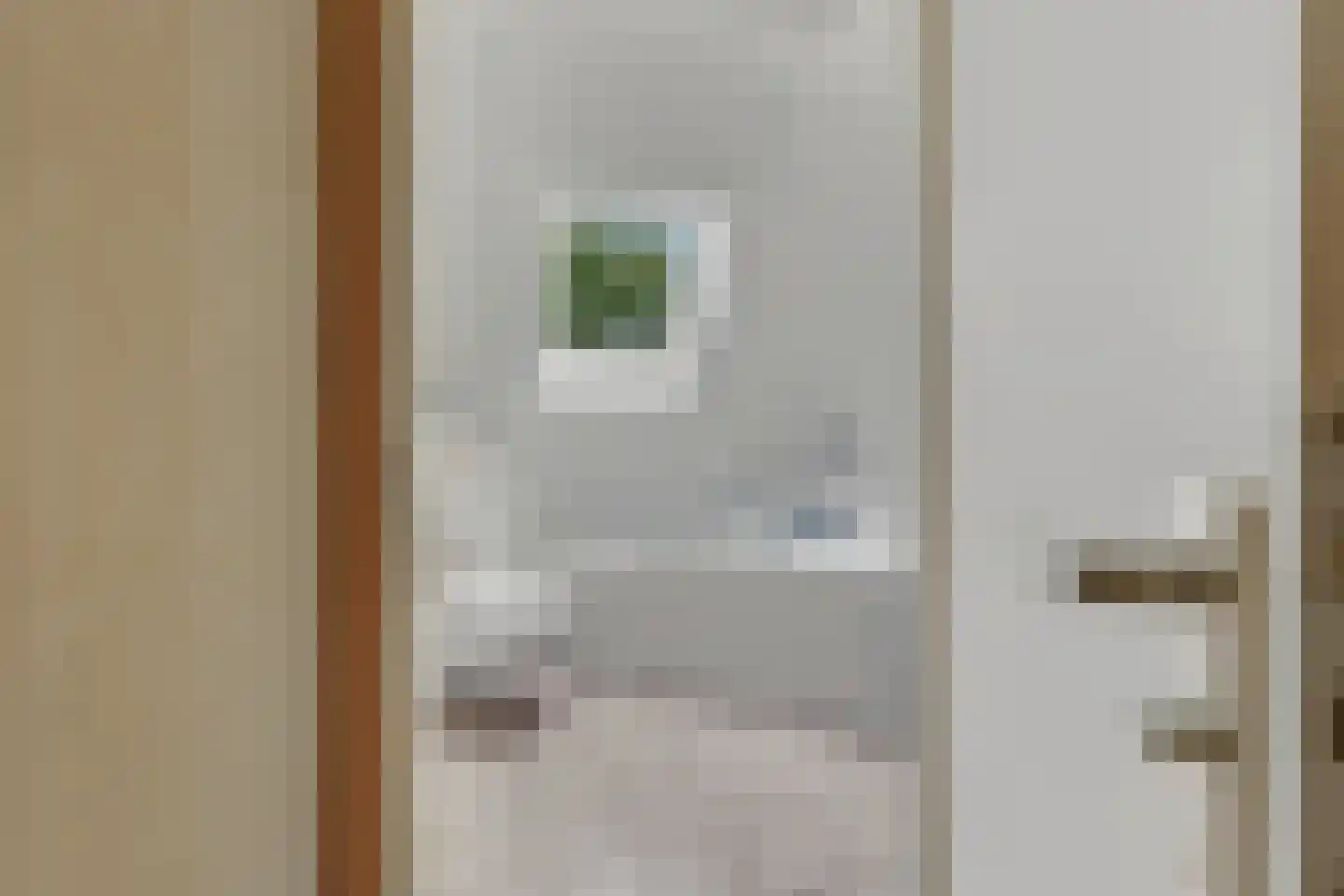 Hasselt 1 Eibergen thumbnail 41