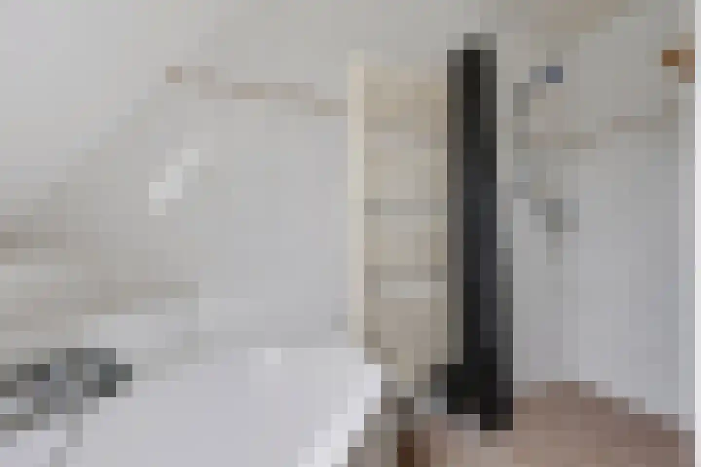 Hasselt 1 Eibergen thumbnail 43