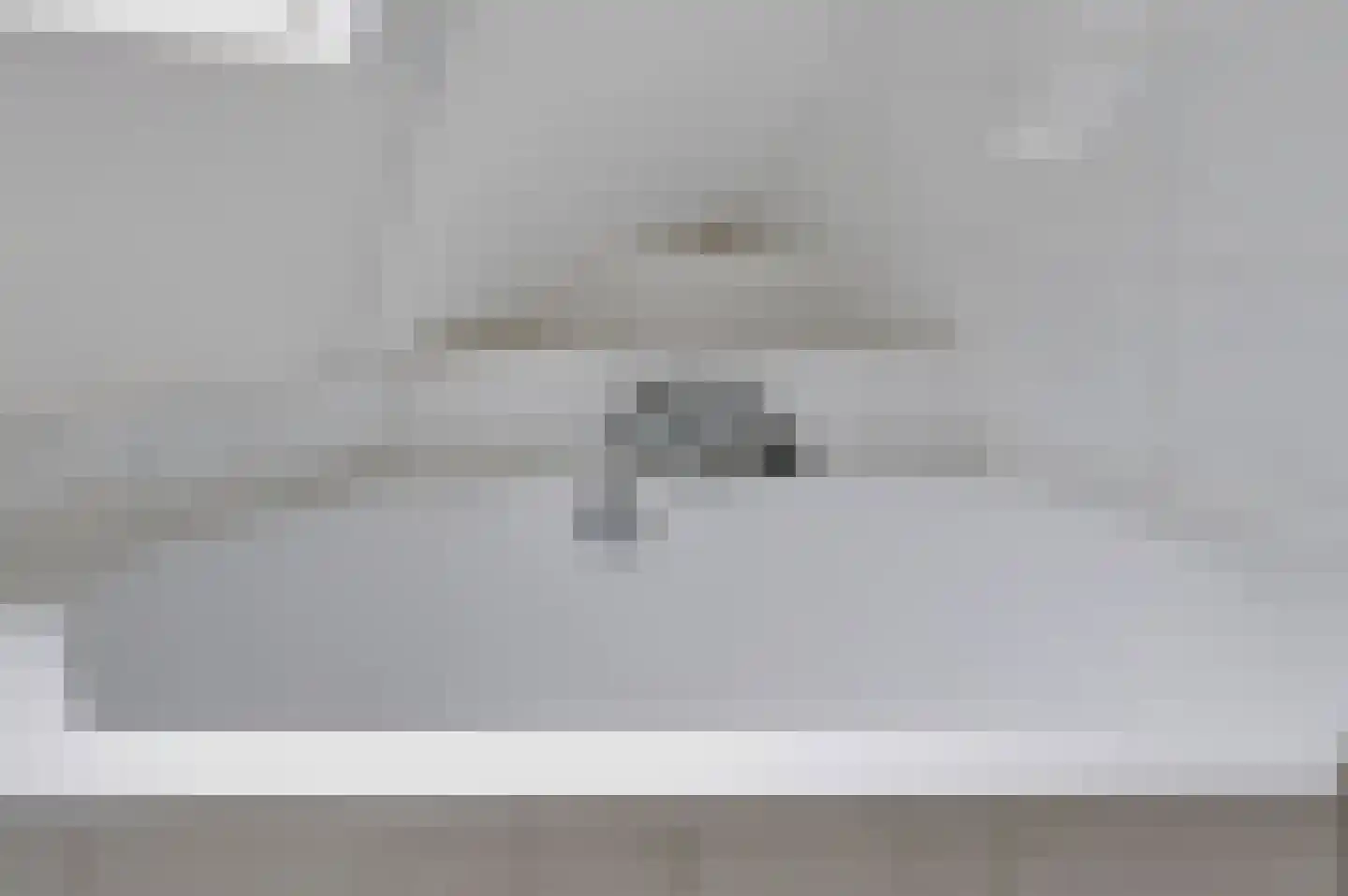 Hasselt 1 Eibergen thumbnail 44