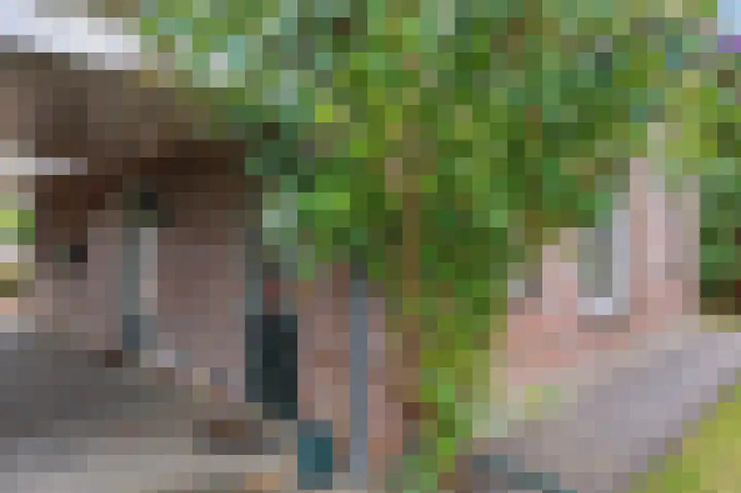 Hasselt 1 Eibergen thumbnail 46