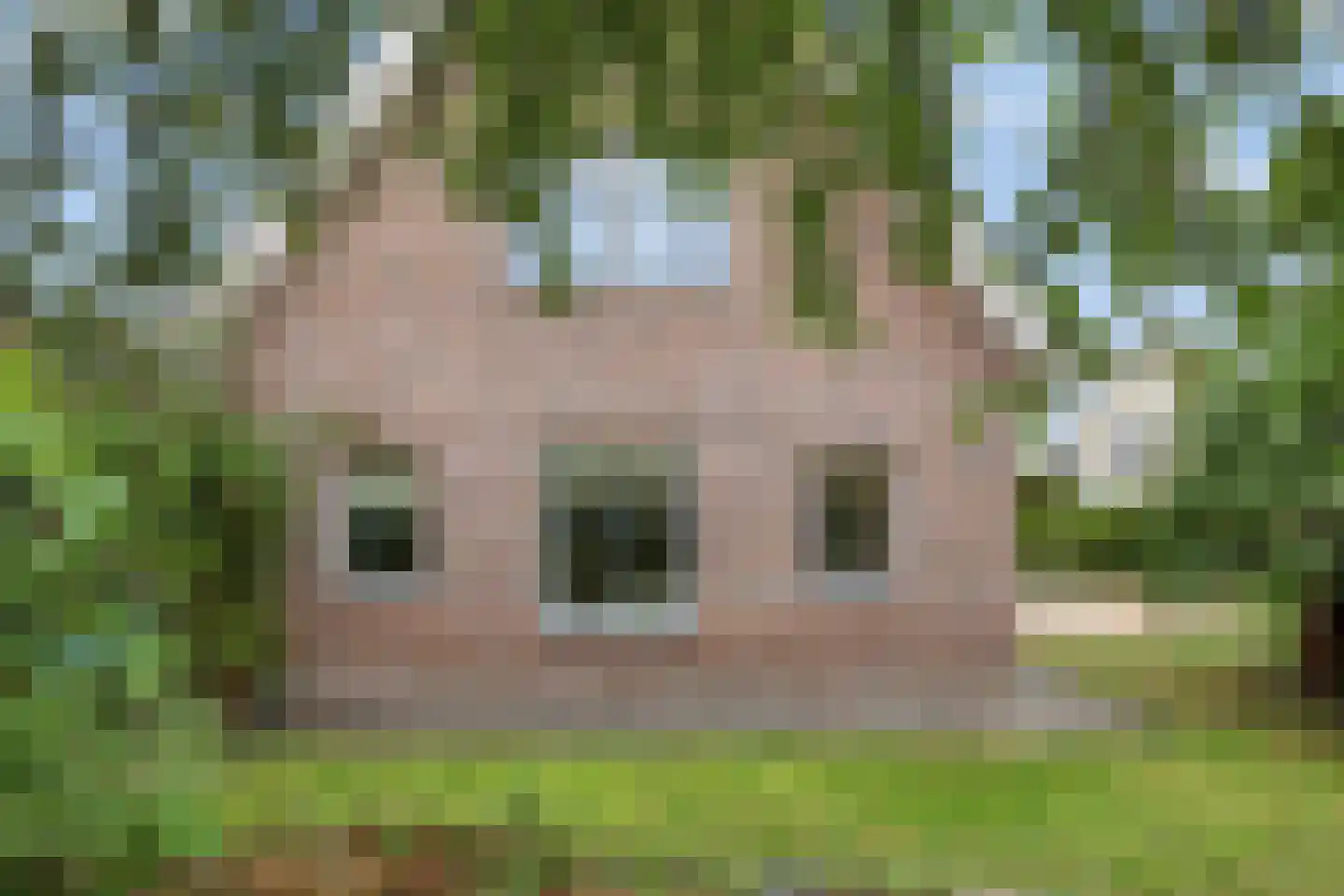 Hasselt 1 Eibergen thumbnail 47
