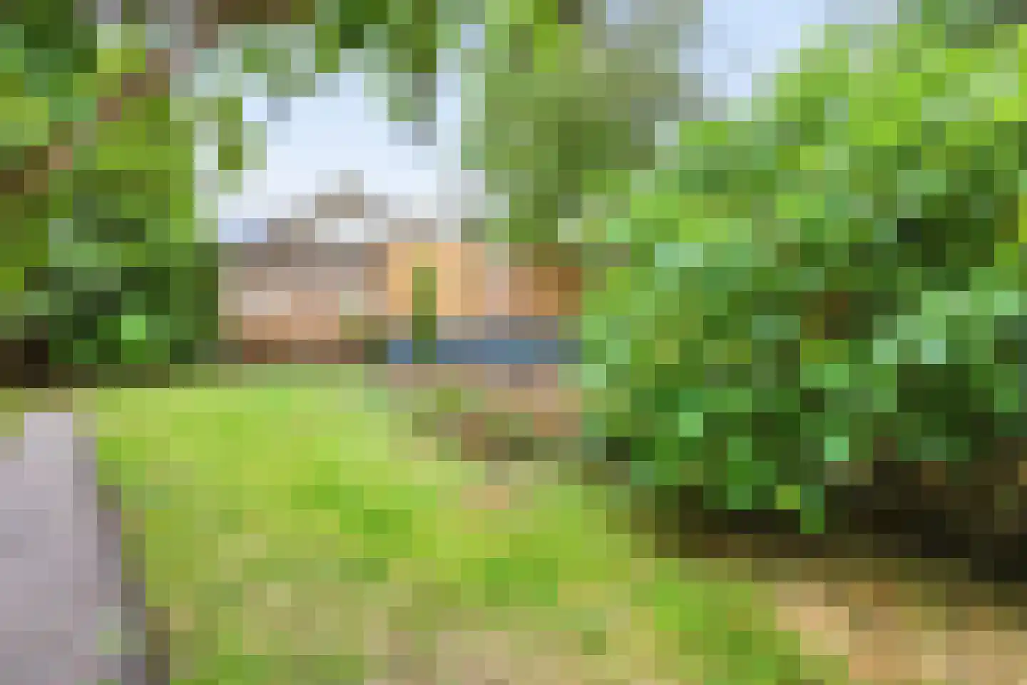 Hasselt 1 Eibergen thumbnail 49