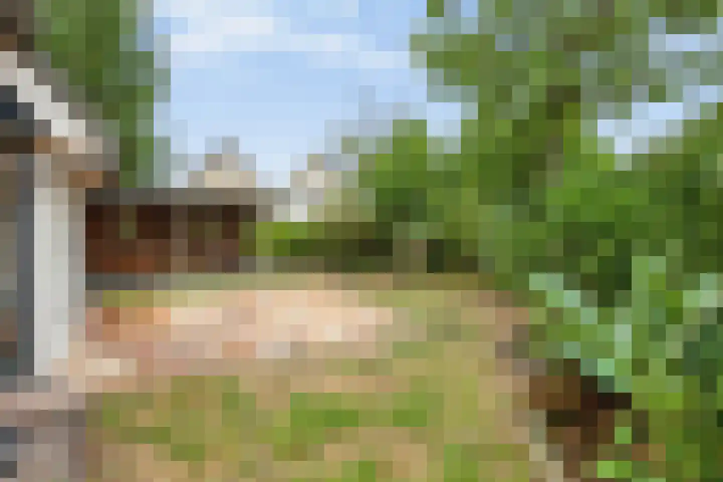 Hasselt 1 Eibergen thumbnail 53