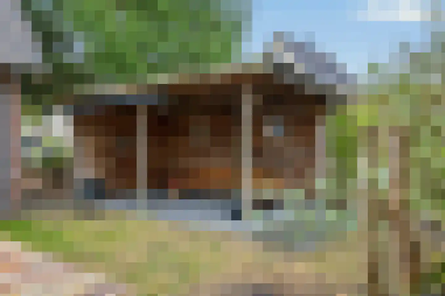 Hasselt 1 Eibergen thumbnail 54