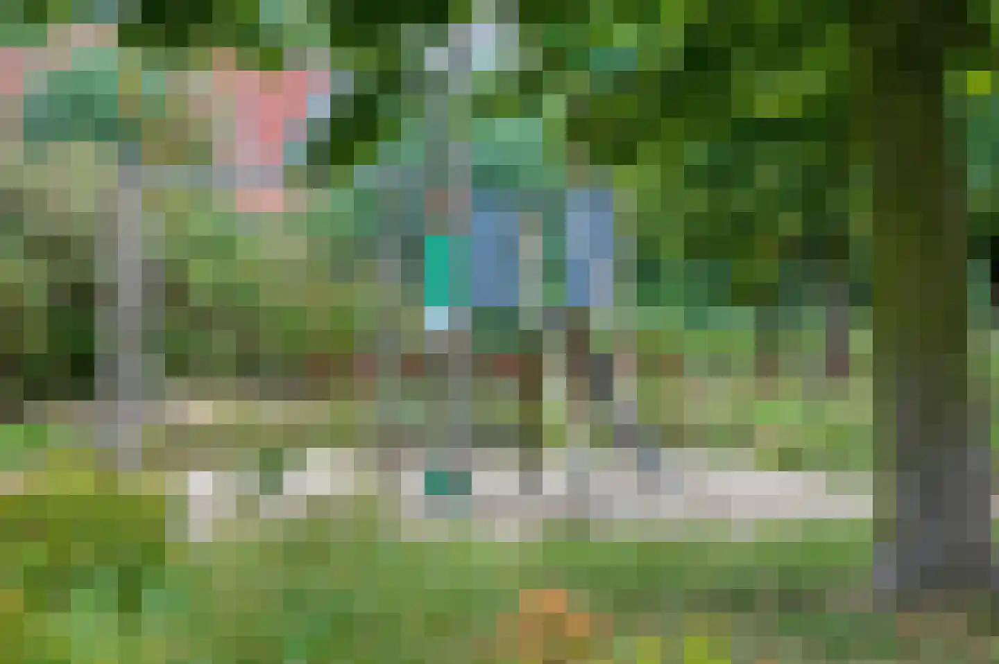 Hasselt 1 Eibergen thumbnail 58