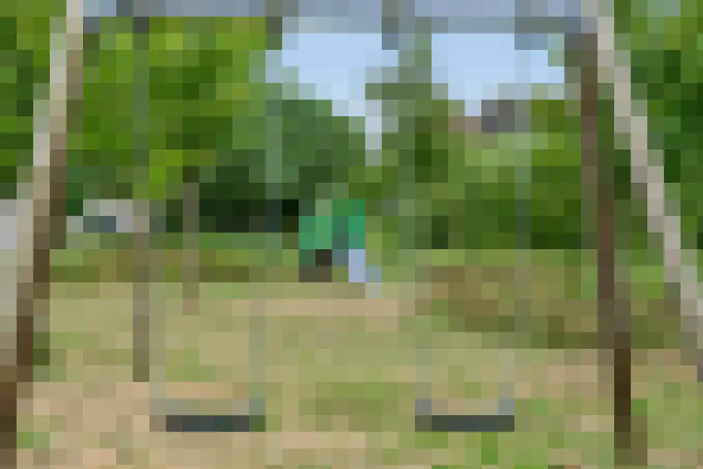 Hasselt 1 Eibergen thumbnail 59
