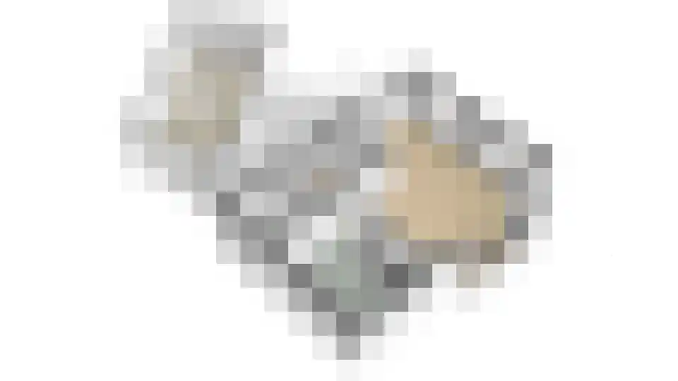 Hasselt 1 Eibergen thumbnail 62