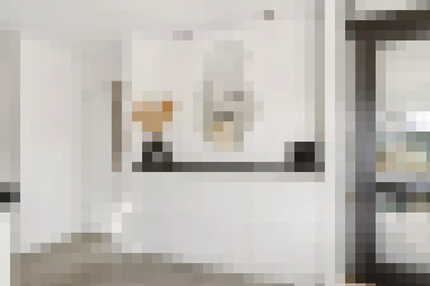 Hasselt 26 Eibergen thumbnail 20