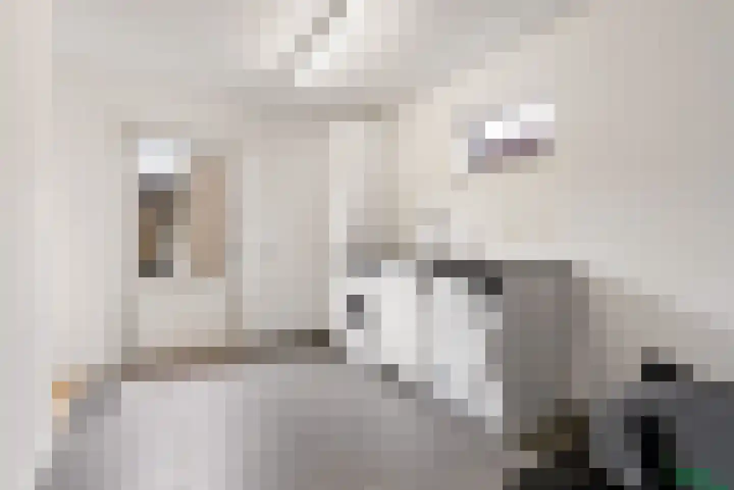 Hasselt 26 Eibergen thumbnail 27