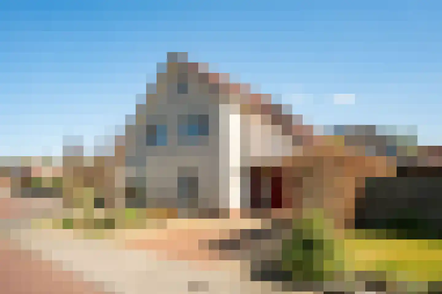 Hasselt 26 Eibergen thumbnail 4