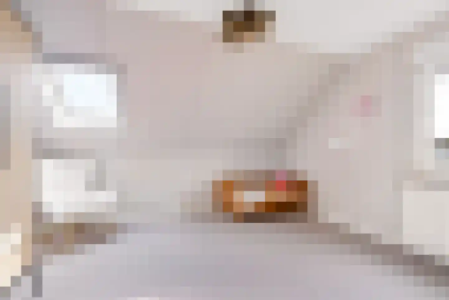 Hasselt 26 Eibergen thumbnail 42