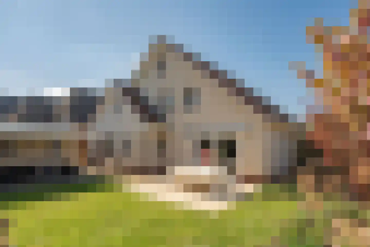 Hasselt 26 Eibergen thumbnail 51