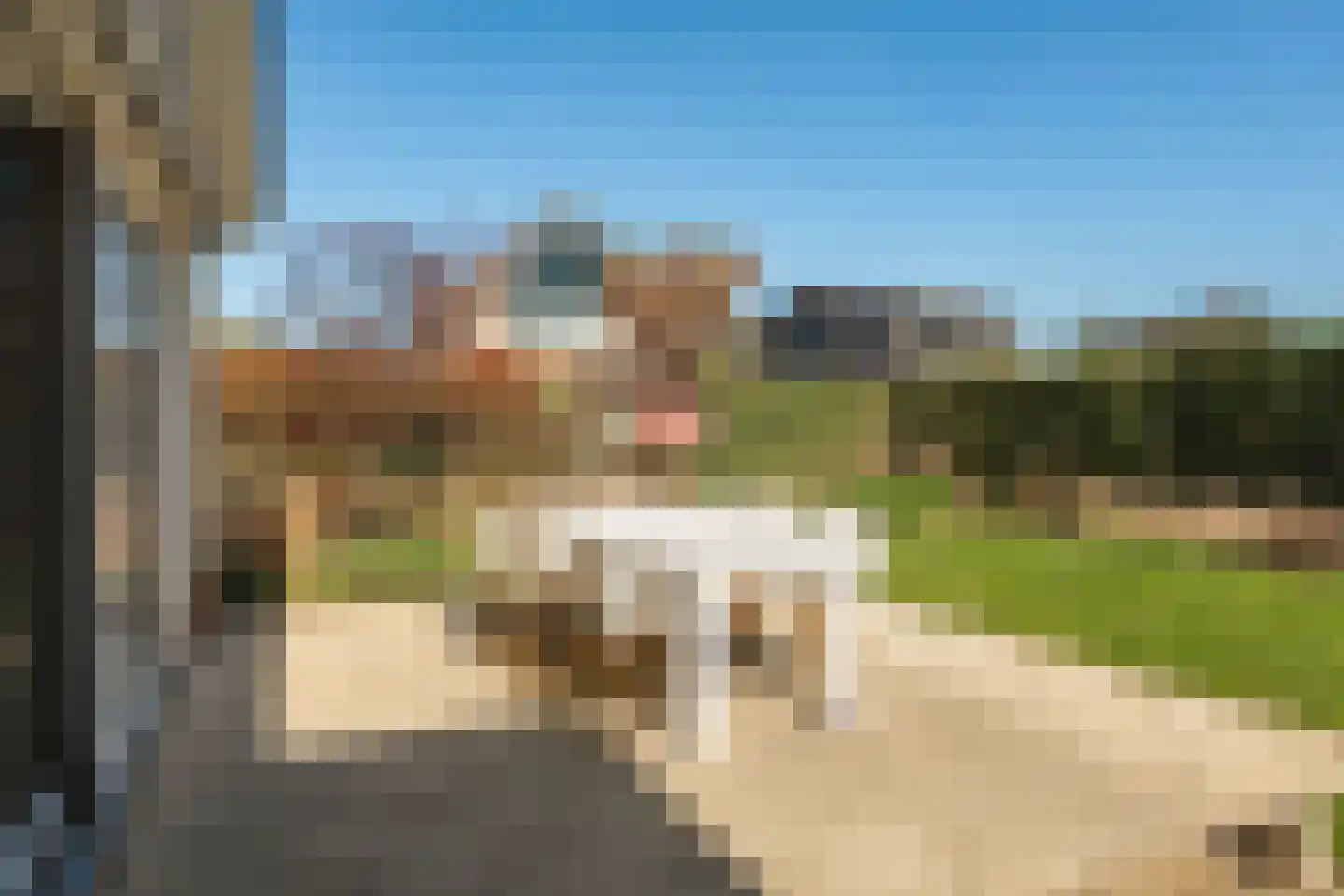 Hasselt 26 Eibergen thumbnail 54