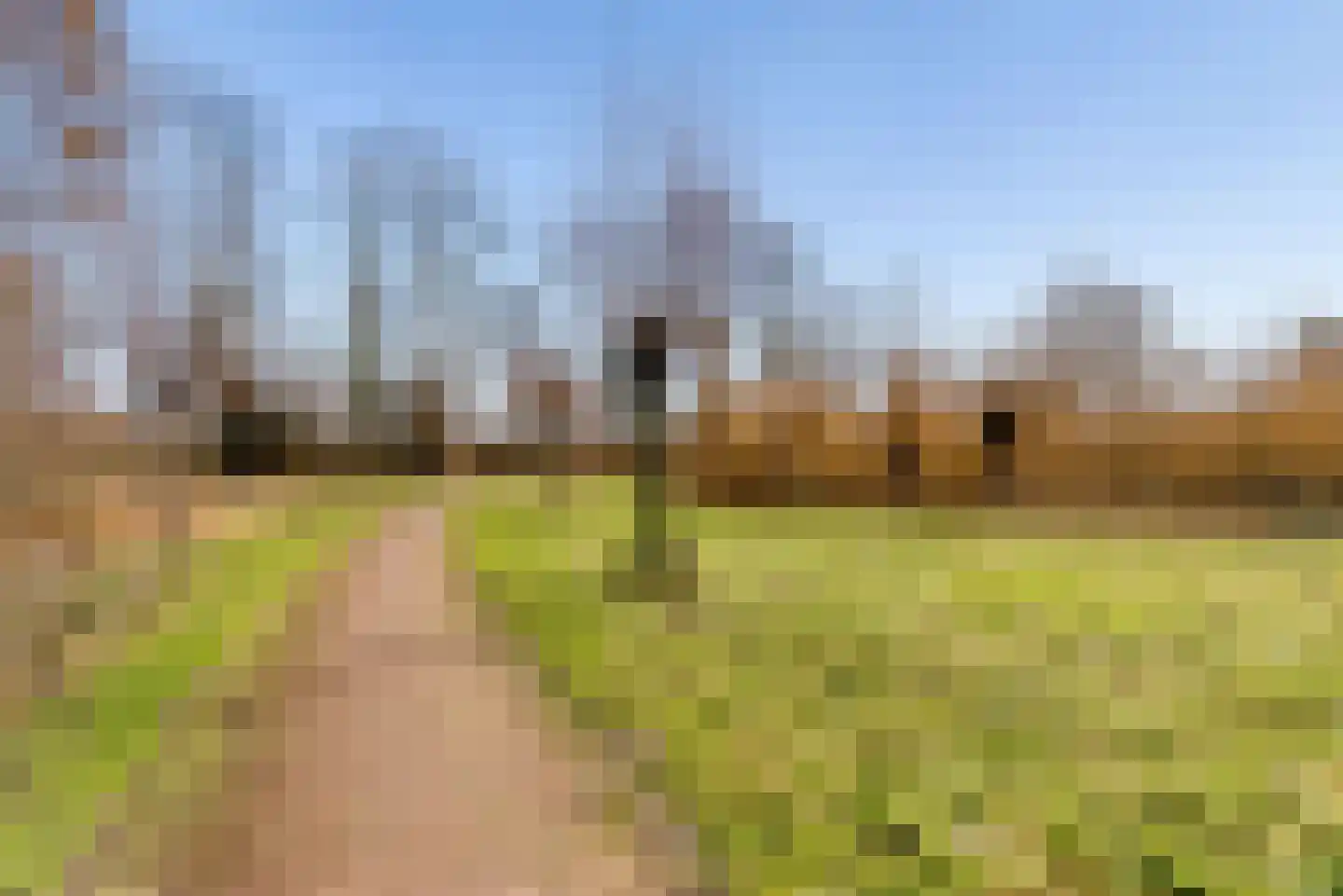Hasselt 26 Eibergen thumbnail 60