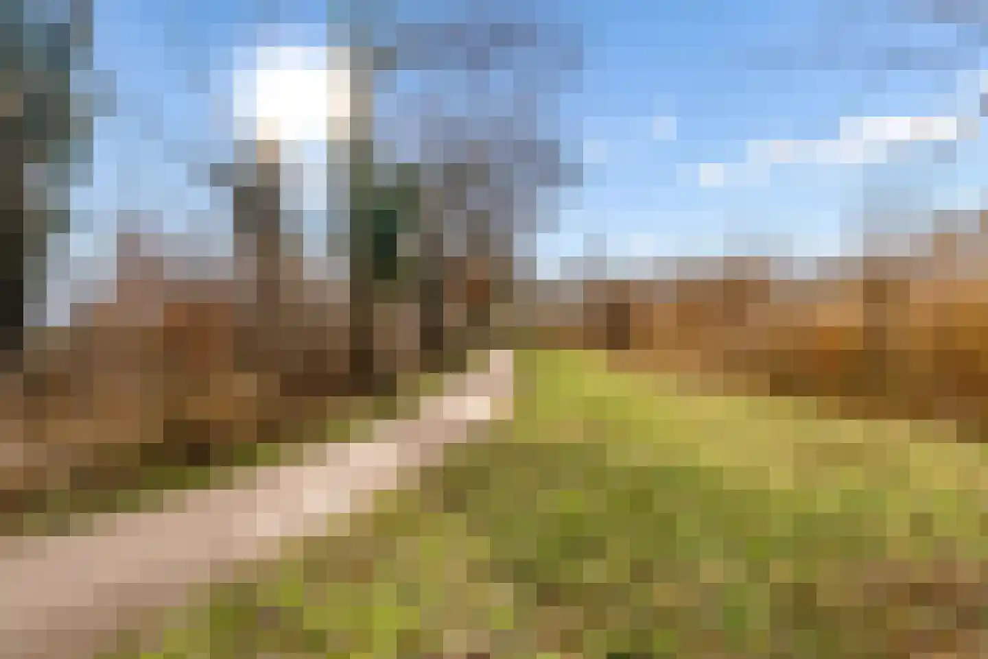 Hasselt 26 Eibergen thumbnail 61
