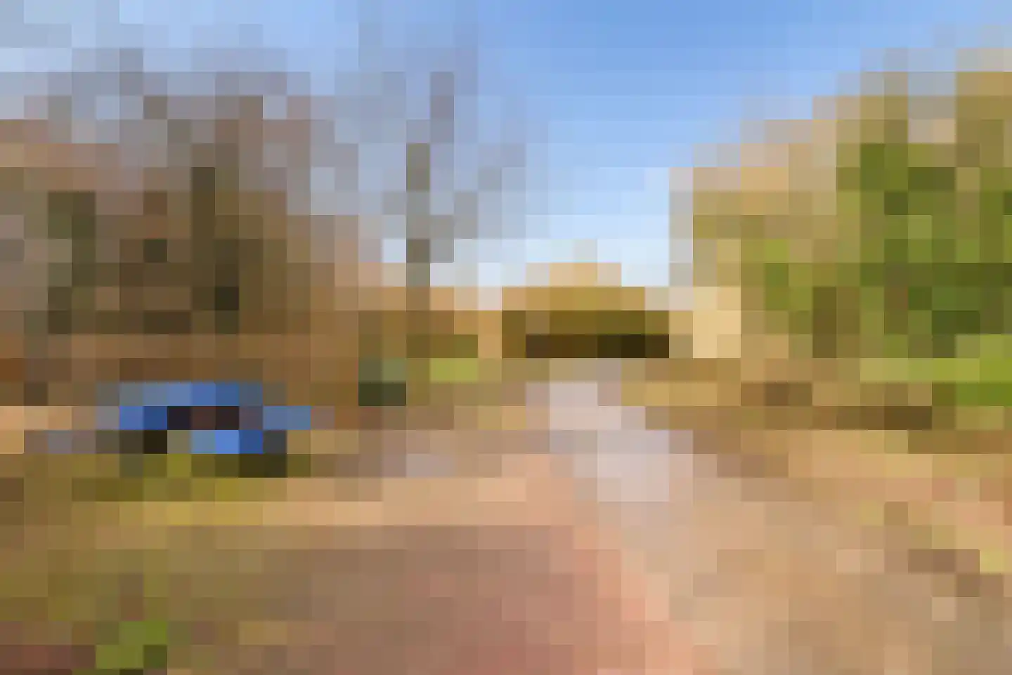 Hasselt 26 Eibergen thumbnail 62