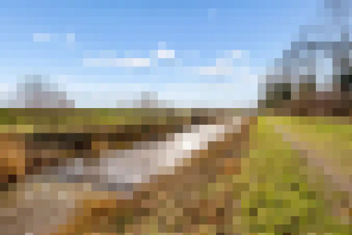 Hasselt 26 Eibergen thumbnail 63