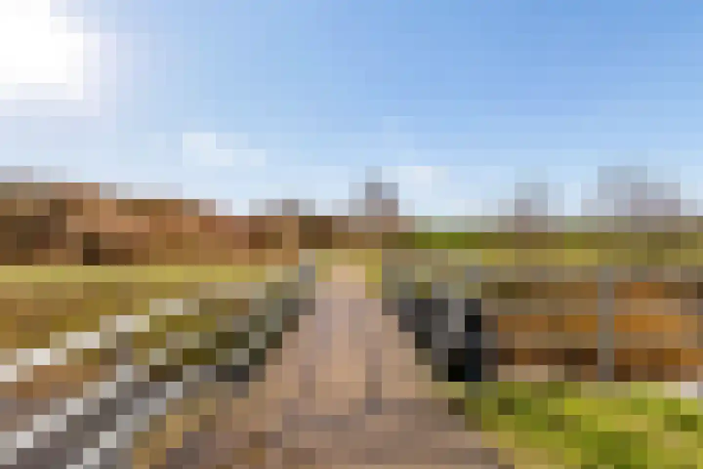 Hasselt 26 Eibergen thumbnail 64