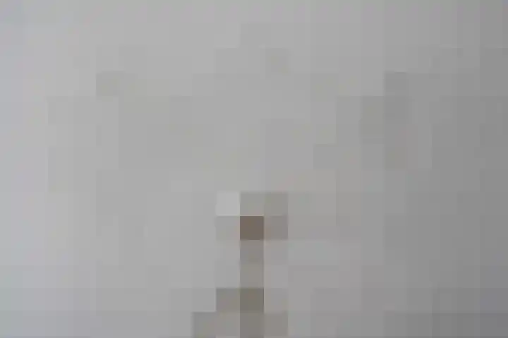 Hasselterdijk 1 Zwartsluis thumbnail 23