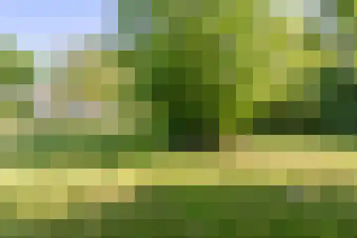 Hasseltsedijk 1 Berlicum thumbnail 39
