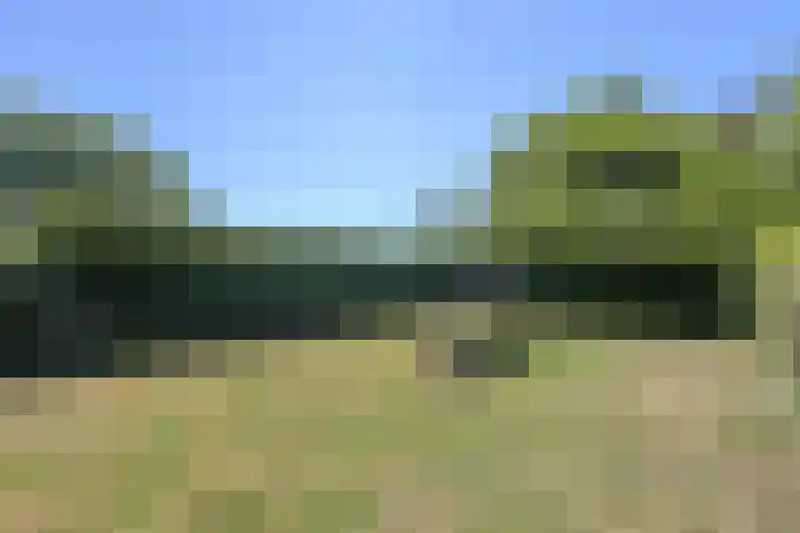 Hasseltsedijk 1 Berlicum thumbnail 40